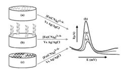 Chitosan-graphene biosensors and methods for their use