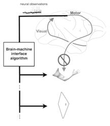 Brain machine interfaces incorporating neural population dynamics