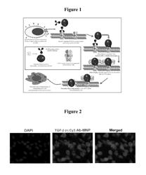 Magnetic nanostructures as theranostic agents