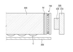 WAVELENGTH CONVERSION MEMBER, METHOD OF MANUFACTURING THE SAME, AND BACKLIGHT ASSEMBLY INCLUDING THE SAME