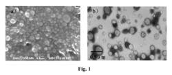 Enteric-coated capsule containing cationic nanoparticles for oral insulin delivery