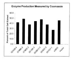 Compositions and methods of using chondroitinase ABCI mutants