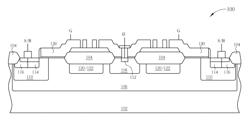 High voltage metal-oxide-semiconductor transistor device and layout pattern thereof