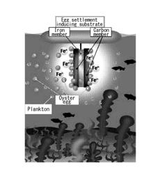 EGG SETTLEMENT INDUCING SUBSTRATE FOR SHELLFISH, AND SHELLFISH SEED COLLECTION METHOD AND CULTURE METHOD USING SAME