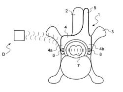 Device for measuring the activity of the spinal cord of a vertebra