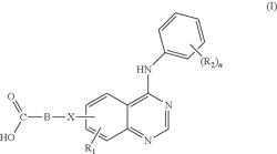 Quinazoline based EGFR inhibitors