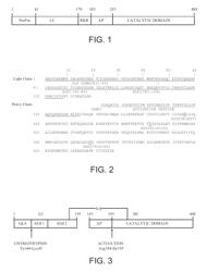 Antidotes for factor Xa inhibitors and methods of using the same