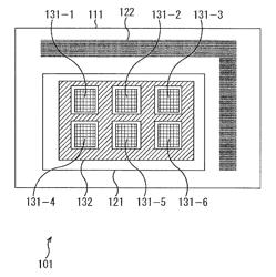 Image sensor, light quantity measurement method, and microscope system