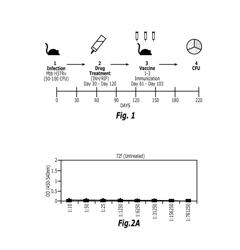 NOVEL METHOD FOR PREVENTING OR TREATING M TUBERCULOSIS INFECTION