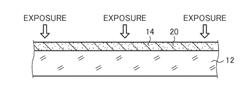 MANUFACTURING METHOD OF CONDUCTIVE SHEET AND CONDUCTIVE SHEET