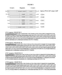 Plasmodium falciparum circumsporozoite vaccine gene optimization for soluble protein expression