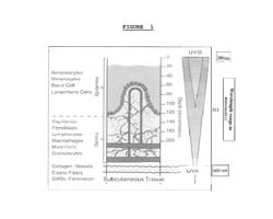 UV protective skin treatment compositions and screening methods