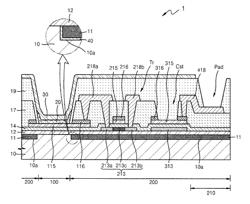 Organic light-emitting display apparatus and method of manufacturing the same