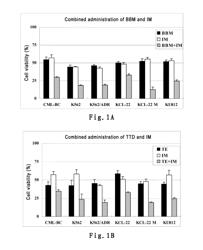 DRUG COMPOSITION FOR TREATING TUMORS AND APPLICATION THEREOF