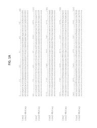 Compositions and Methods Conferring Resistance of Maize to Corn Rootworm II