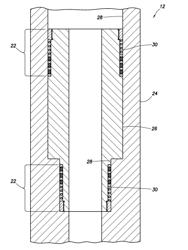 Well Tools Having Energized Seals