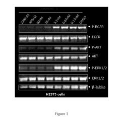 NOVEL EGFR MODULATORS AND USES THEREOF