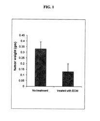 EXTRACELLULAR MATRIX COMPOSITIONS FOR THE TREATMENT OF CANCER