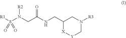 NOVEL ACETAMIDE DERIVATIVES