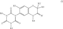 Herbicidal Benzoxazinones