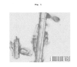 PROCESS FOR PRODUCING SOLID PARTICLES