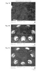 QUATERNIZED POLYETHER AMINES AND THEIR USE AS ADDITIVE FOR FUELS AND LUBRICANTS