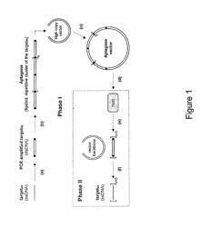 Method for Production of Single-Stranded Macronucleotides