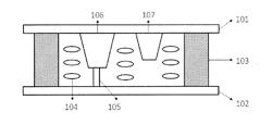 LIQUID CRYSTAL PANEL AND DISPLAY DEVICE