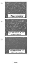 Pharmaceutical compositions comprising monoterpenes