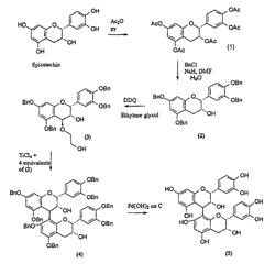 Isolation, purification and synthesis of procyanidin B2 and uses thereof