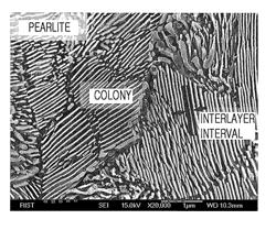 High-carbon hot-rolled steel sheet, high-carbon cold-rolled steel sheet, and method of manufacturing the same