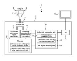 BODY FAT DIAGNOSTIC APPARATUS