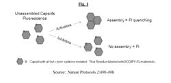 HEPATITIS B ANTIVIRAL AGENTS