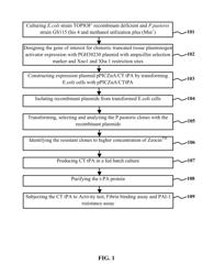 CHIMERIC TISSUE PLASMINOGEN ACTIVATOR (T-PA) RESIATANT TO PLASMINOGEN ACTIVATOR INHIBITOR-1 AND IMPROVED BIOCHEMICAL PROPERTIES