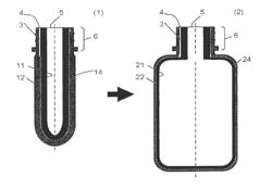 INTEGRALLY BLOW-MOULDED BAG-IN-CONTAINER HAVING A BAG ANCHORING POINT; PROCESS FOR PRODUCTION THEREOF; AND TOOL THEREOF