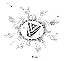 VIRUS-LIKE PARTICLES, METHODS OF PREPARATION, AND IMMUNOGENIC COMPOSITIONS