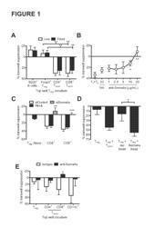 THERAPIES BASED ON CONTROL OF REGULATORY T CELL STABILITY AND FUNCTION VIA A NEUROPILIN-1:SEMAPHORIN AXIS