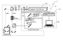 NONINVASIVE MEASURING METHOD FOR PROBING AN INTERFACE