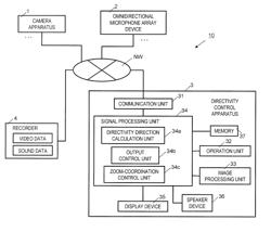 DIRECTIVITY CONTROL APPARATUS, DIRECTIVITY CONTROL METHOD, STORAGE MEDIUM AND DIRECTIVITY CONTROL SYSTEM