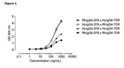 Heterodimeric antibody Fc-containing proteins and methods for production thereof