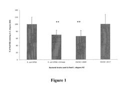 Lactobacillus Rhamnosus Strain for Reducing Body Fat Accumulation