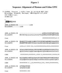 Modified animal erythropoietin polypeptides and their uses