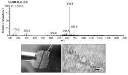 Method for diagnosing abnormality in tissue samples by combination of mass spectral and optical imaging