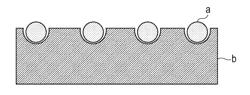 Electrophotographic photosensitive member, intermediate transfer member, process cartridge, and electrophotographic apparatus