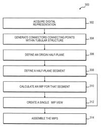 Systems and methods for visualizing elongated structures and detecting branches therein