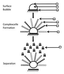 Complexometric precursor formulation methodology for industrial production of fine and ultrafine powders and nanopowders for lithium metal oxides for battery applications