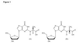 METHODS OF QUANTIFYING N2-(1-CARBOXYETHYL)-2'-DEOXY-GUANOSINE (CEDG) AND SYNTHESIS OF OLIGONUCLEOTIDES CONTAINING CEDG