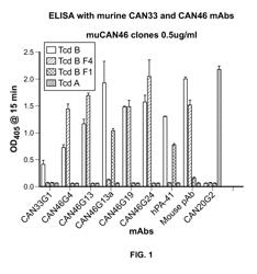 ANTIBODIES AGAINST CLOSTRIDIUM DIFFICILE