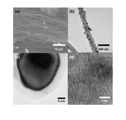 CATALYST COMPRISING IRON AND CARBON NANOTUBES