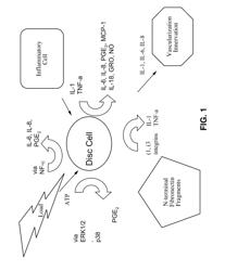 Systems, compositions, and methods for local imaging and treatment of pain